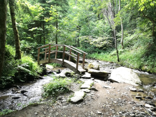 Den Weg bereiten - Karfreitag Meditation bei .ZEN in Werdenberg